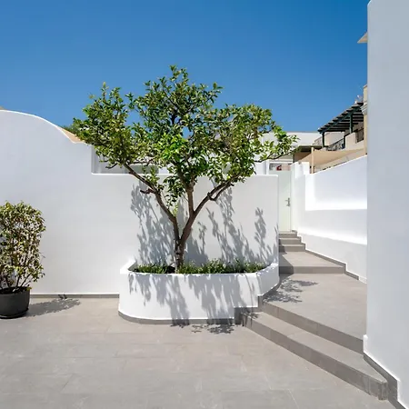 The Lemon Tree House *