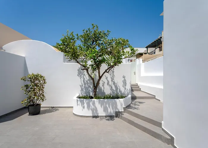 The Lemon Tree House *